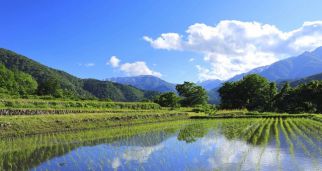 國家發(fā)展改革委等部門印發(fā) 《環(huán)境基礎設施建設水平提升行動（2023—2025年）》